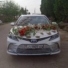 Toyota Camry 2020