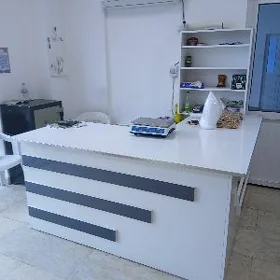 kassa sdol