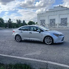 Toyota Corolla 2021