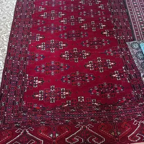 gadym artel haly