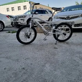 tigir kros