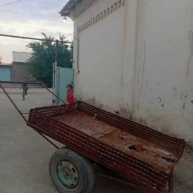 galtak