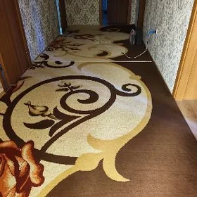 HALY PALAS HALY ALÝAS