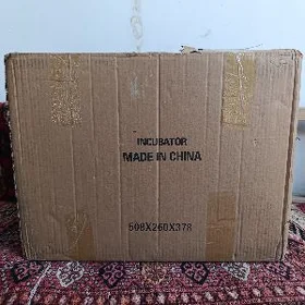 İncubator