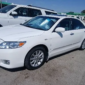 Toyota Camry 2010
