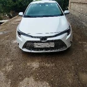 Toyota Corolla 2021