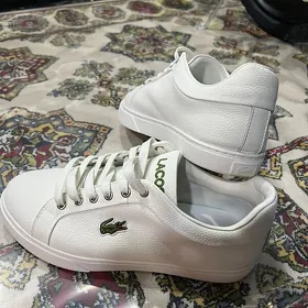 köwuş lacoste täzeje