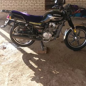 Fekon FK150-8G 2025