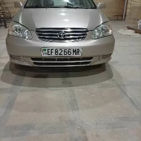 Toyota Corolla 2003