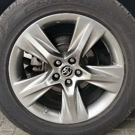 Platinum diska 19 model