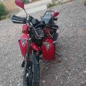 Fekon FK200-14G 2026