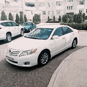 Toyota Camry 2010