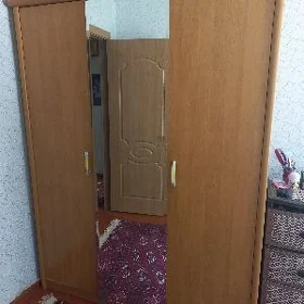 şfaner ulanylan