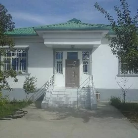Taze zaman