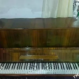 Pinino