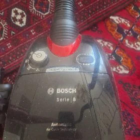 палисос Boscn