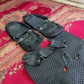 tayota cehol