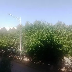 Квартира