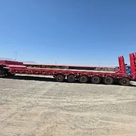 Schmitz Cargobull 2025