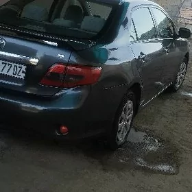 Toyota Corolla 2009