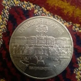 монета