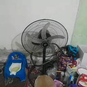 wentelyator