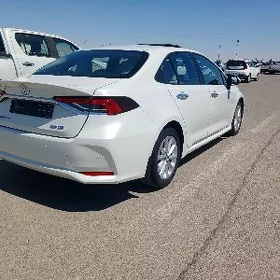 Toyota Corolla 2021
