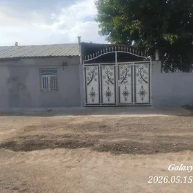 Anew 9 kamsar