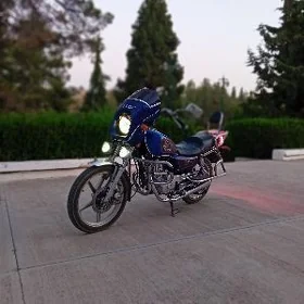 Fekon FK150-8G 2012