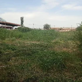 ot ba 1 mellek
