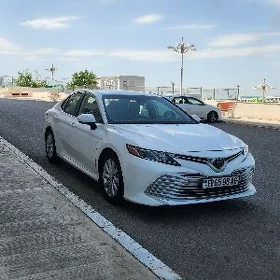 Toyota Camry 2019