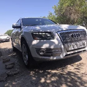Audi Q5 2010