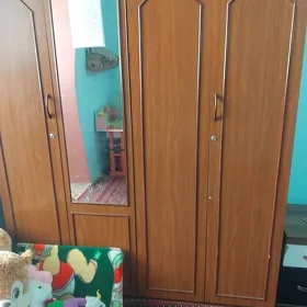 шфонер