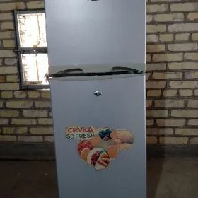 холоденник