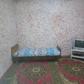 квартира