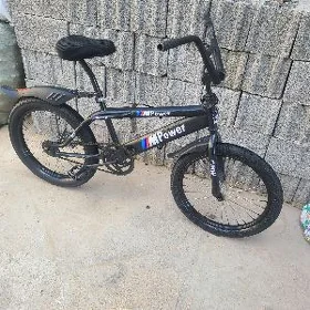 Tigir 20lik duga