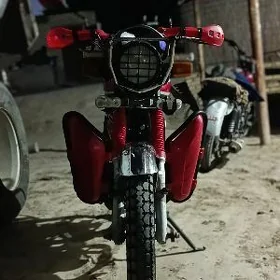 Fekon FK200-14G 2026