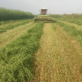 MTZ 82 2014