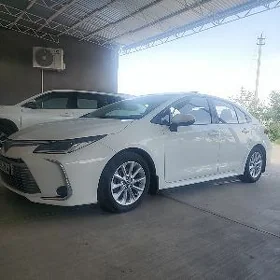 Toyota Corolla 2022