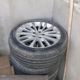 Disga limitet 18 lik