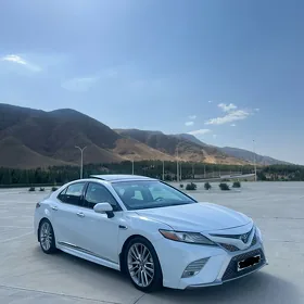 Toyota Camry 2019