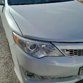 Palta Camry Fara