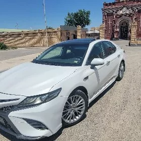 Toyota Camry 2020