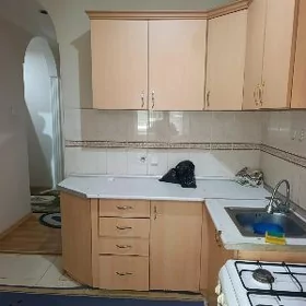 satlyk wysoki 3 komn kwartal