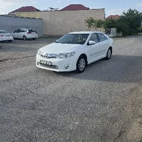 Toyota Camry 2013