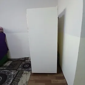 Бирюса