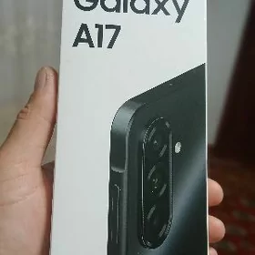 Samsung - a 17