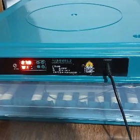 Inkubator