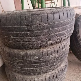 Karolla diska pakryşka