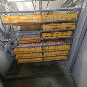 inkubator juje